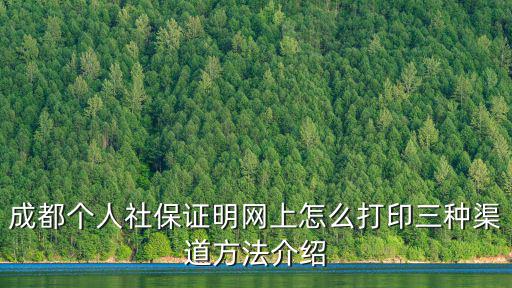成都人社,成都靈活就業人員交社保方法一:微信