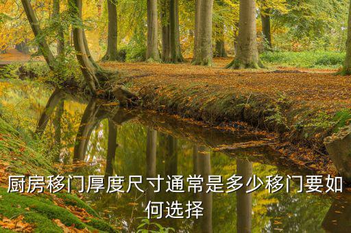 廚房移門厚度尺寸通常是多少移門要如何選擇