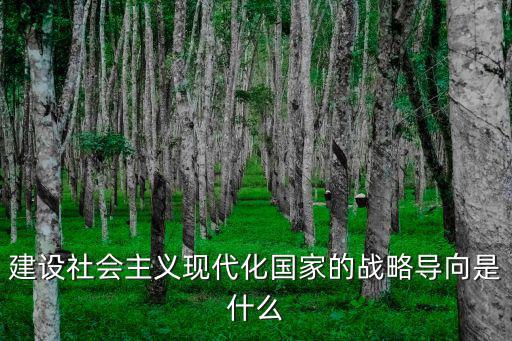 建設社會主義現代化國家的戰略導向是什么