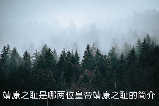 靖康之亂,靖康之恥是怎么一回事