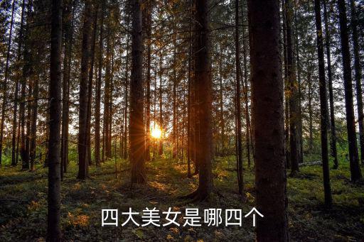 四大美女的故事,中國古代四大美女誰最美?
