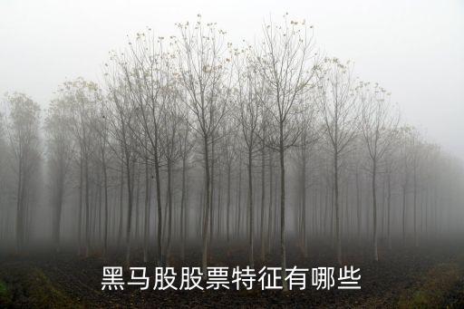 黑馬股股票特征有哪些