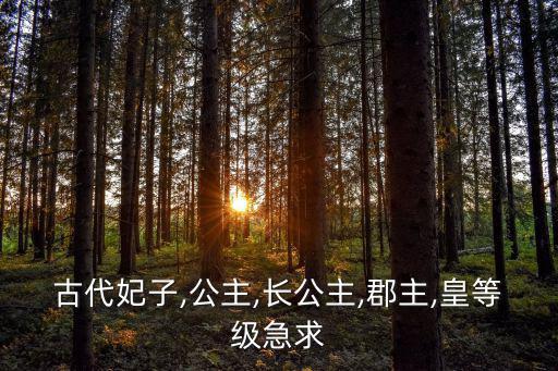 古代公主等級(jí),四大名公主的分類(lèi)
