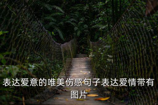 表達愛意的唯美傷感句子表達愛情帶有圖片