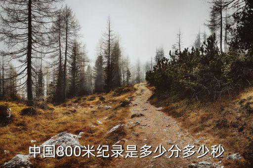 滕海寧,第12屆亞運會:中國800米破半小時紀錄