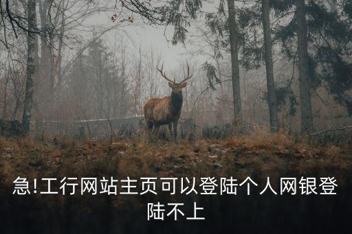 急!工行網(wǎng)站主頁可以登陸個(gè)人網(wǎng)銀登陸不上