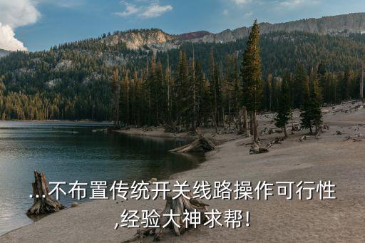 ...不布置傳統開關線路操作可行性,經驗大神求幫!