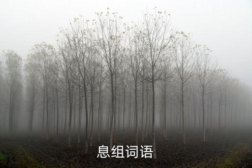 息組詞語