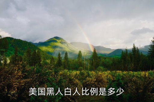 美國黑人白人比例是多少