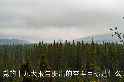 黨的十九大報告提出的奮斗目標是什么