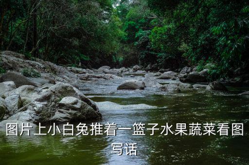 圖片上小白兔推著一籃子水果蔬菜看圖寫話