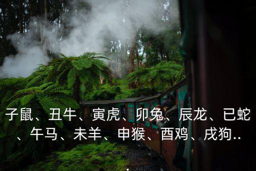 子鼠、丑牛、寅虎、卯兔、辰龍、已蛇、午馬、未羊、申猴、酉雞、戌狗...