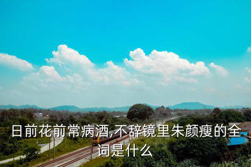 日前花前常病酒,不辭鏡里朱顏瘦的全詞是什么