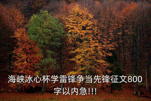 海峽冰心杯學雷鋒爭當先鋒征文800字以內急!!!