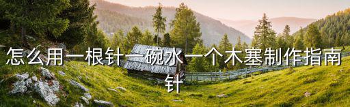 怎么用一根針一碗水一個(gè)木塞制作指南針