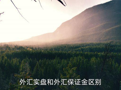 外匯實盤和外匯保證金區別