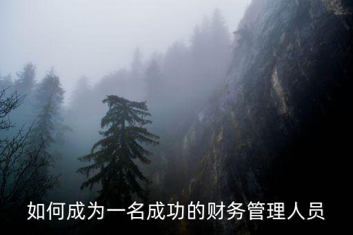 如何成為一名成功的財務管理人員