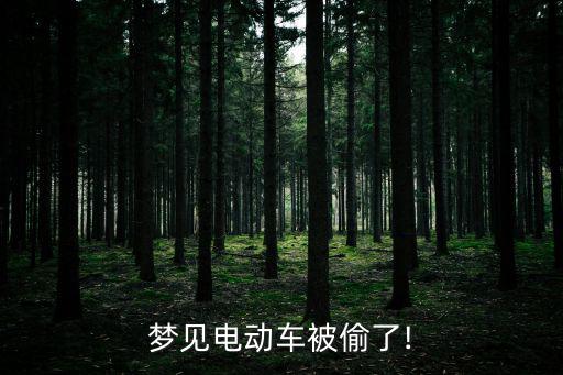 夢見電動車被偷了!
