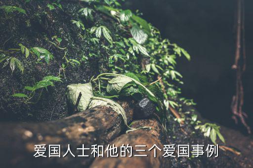 愛國人士和他的三個愛國事例