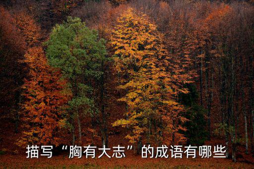 描寫“胸有大志”的成語有哪些