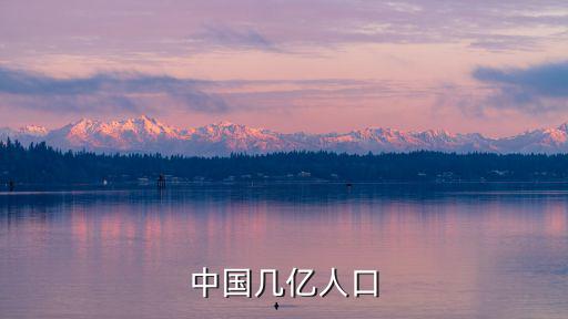 中國幾億人口