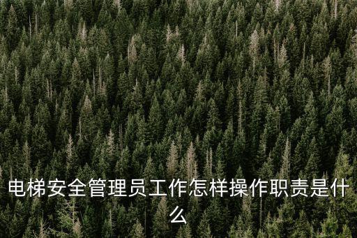 安全管理員職責(zé),專職安全生產(chǎn)管理人員的職責(zé)有何?
