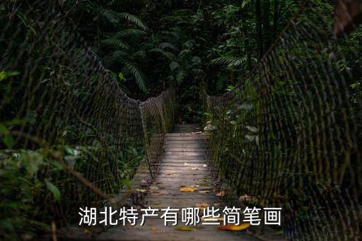 枇杷簡筆畫,湖北特色簡筆畫