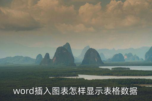 word插入圖表怎樣顯示表格數據