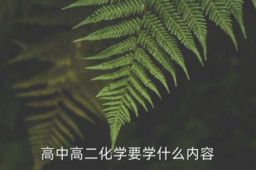 高二化學,高中化學要學什么?