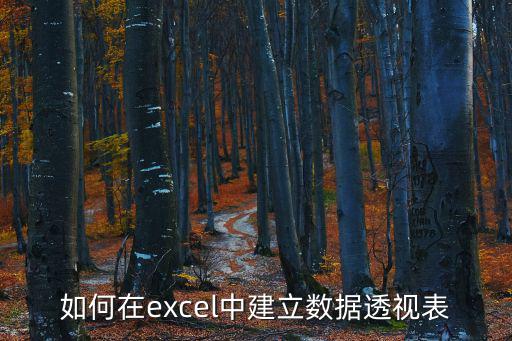 建立數據透視表,如何在瀏覽器中建立數據透視表?