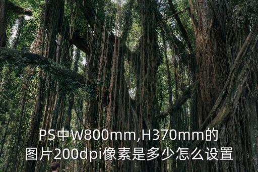 PS中W800mm,H370mm的圖片200dpi像素是多少怎么設置