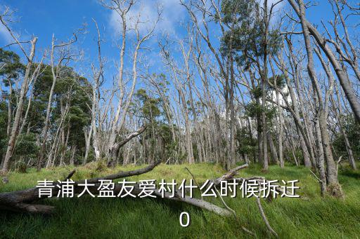 青浦大盈友愛村什么時候拆遷      0