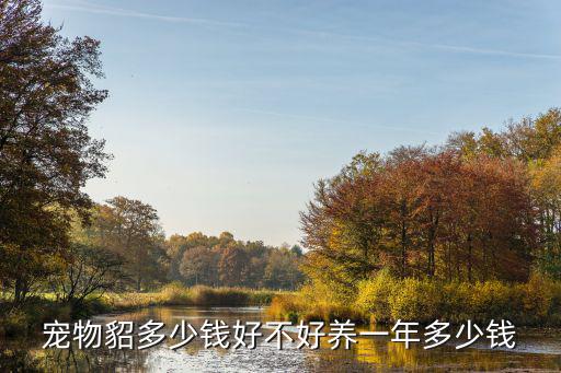 貂多少錢,新加坡寵物貂養多少錢?