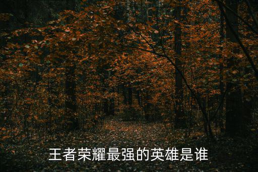王者最強英雄,王者榮耀最強輔助技能公布