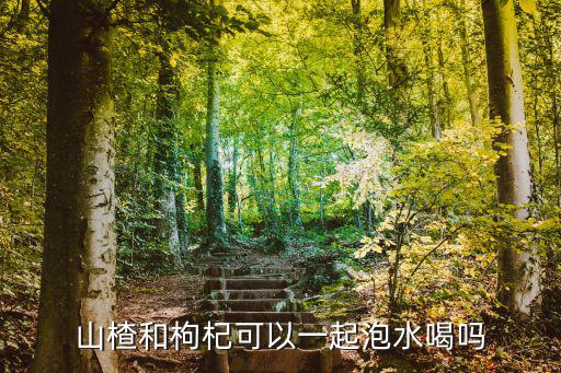 枸杞山楂,泡水喝山楂枸杞茶正確方法是什么?