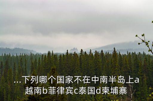 ...下列哪個國家不在中南半島上a越南b菲律賓c泰國d柬埔寨