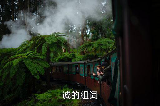 誠字組詞,只有傾聽群眾意見才能暢所欲言誠心誠意
