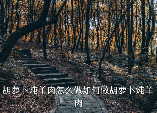 胡蘿卜燉羊肉怎么做如何做胡蘿卜燉羊肉