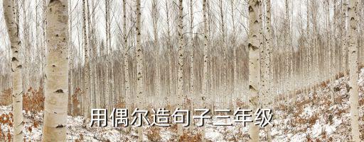 用偶爾造句子,第二集:偶爾犯小錯誤未可厚非