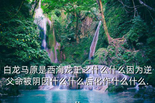 白龍馬原是,取經(jīng)回來白龍馬來歷揭曉