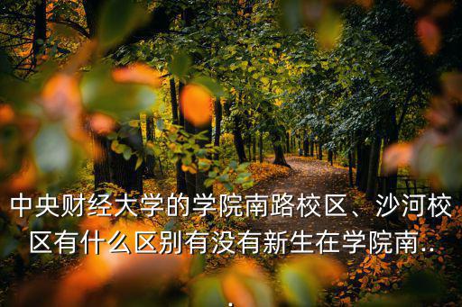 中央財經(jīng)大學(xué)沙河校區(qū),北京中央財經(jīng)大學(xué)有何特色?
