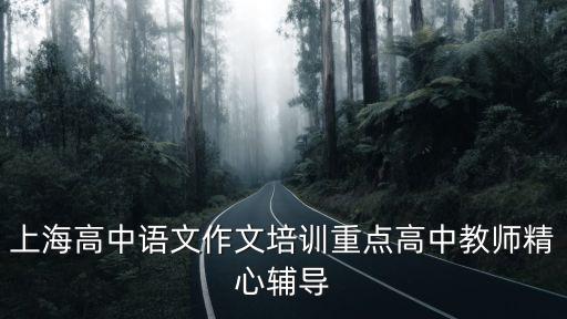 上海高中語文作文培訓重點高中教師精心輔導