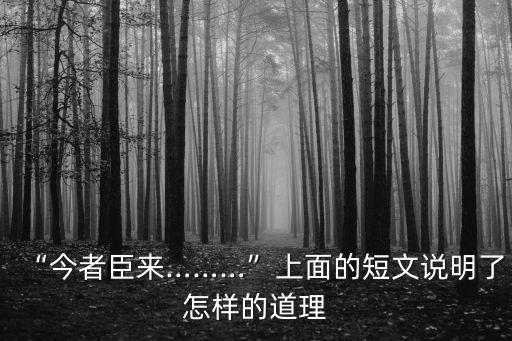 今者臣來,中國古籍解釋:王者臣來不必強行進入戰爭