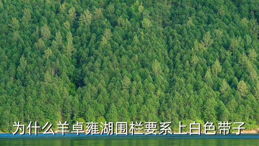 羊卓雍湖,西藏三大神秘圣湖之一羊卓雍措湖面呈白色