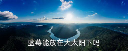 藍莓能放在大太陽下嗎