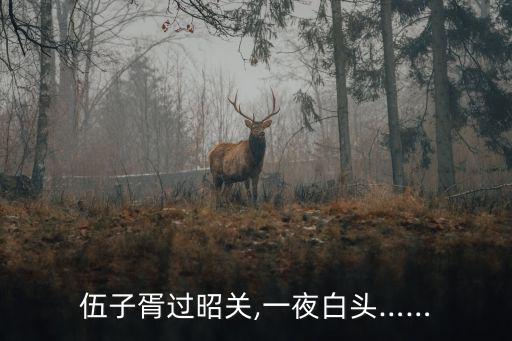 伍子胥一夜白頭,投大石自投瀨水而亡子胥過昭關一夜白頭