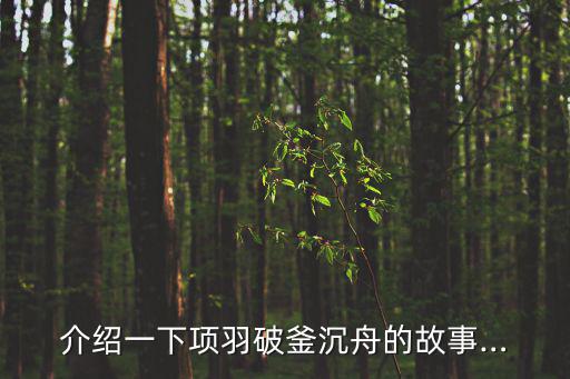 介紹一下項羽破釜沉舟的故事…