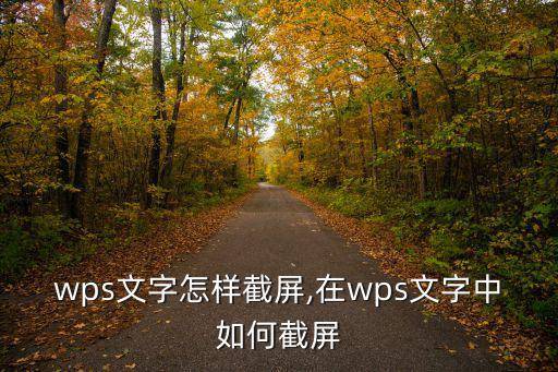 wps文字怎樣截屏,在wps文字中如何截屏