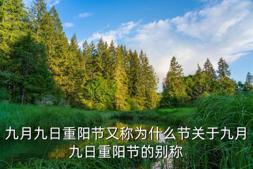 重陽節別稱,九月九日重陽節別稱:老人節、重陽