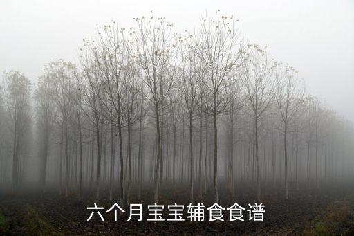 6個月寶寶一天輔食表,一般六個月寶寶一天吃一次輔食即夠了